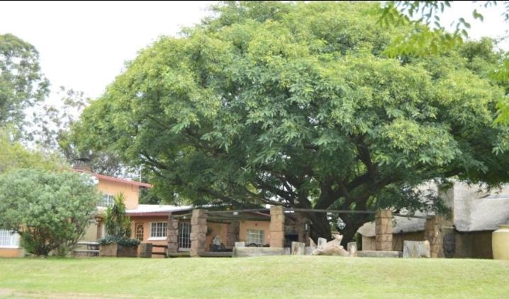באנוני Anna Boeremeisie Guesthouse חדר תמונה